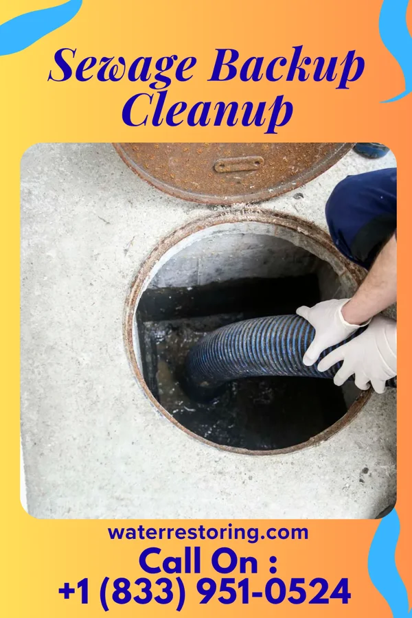 Sewage Backup Cleanup in Cedar Lake, OK